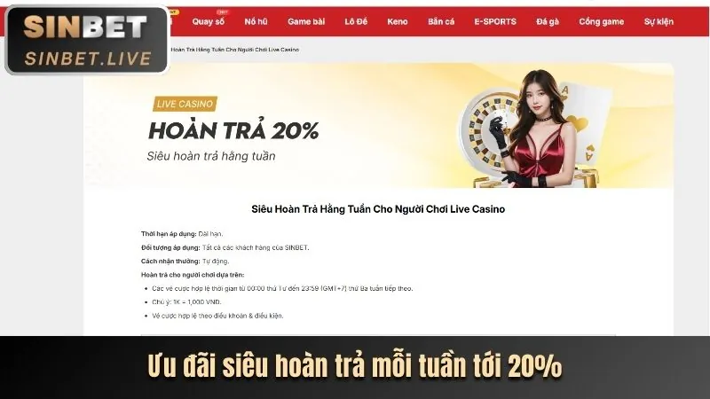 Biểu đồ phân tích hiệu suất trang web